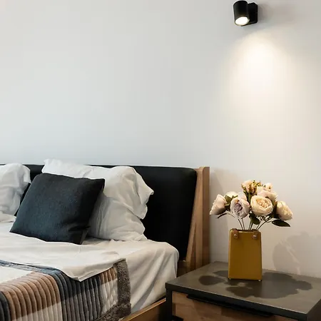 Maison - Luxury In Exclusive Herastrau Area Appartement *